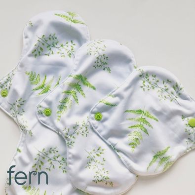 Fern